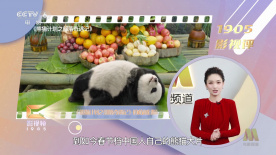 萝莉呦呦